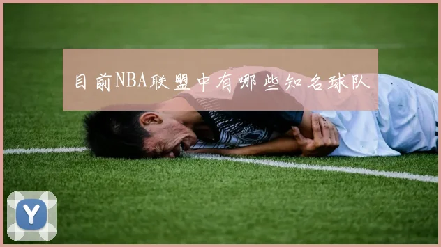 目前NBA联盟中有哪些知名球队